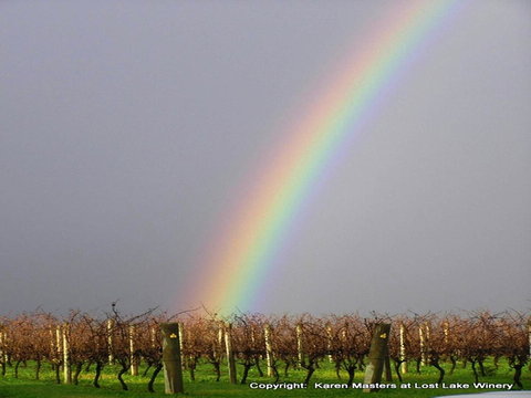 The Pemberton Hotel - Accommodation Kalgoorlie 41