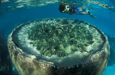 Sal Salis Ningaloo Reef - Accommodation Kalgoorlie 8