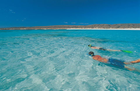 Sal Salis Ningaloo Reef - Accommodation Kalgoorlie 9