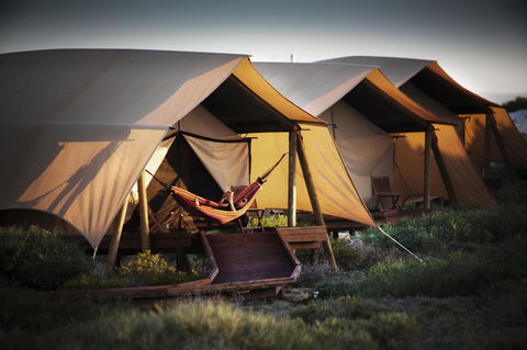 Sal Salis Ningaloo Reef - Accommodation Kalgoorlie 23