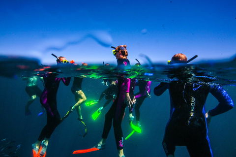 Sal Salis Ningaloo Reef - Accommodation Kalgoorlie 26