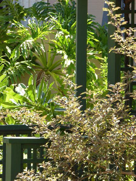 Kalbarri Beach Resort - Accommodation Kalgoorlie 32