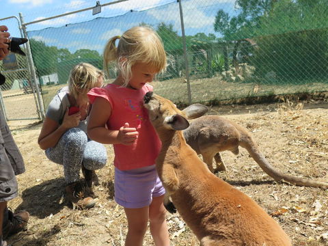 Jurien Beachfront Holiday Units - Accommodation Kalgoorlie 36