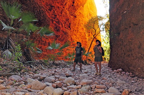 Bungle Bungle Wilderness Lodge - Accommodation Kalgoorlie 13