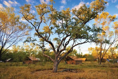 Bungle Bungle Wilderness Lodge - Accommodation Kalgoorlie 11