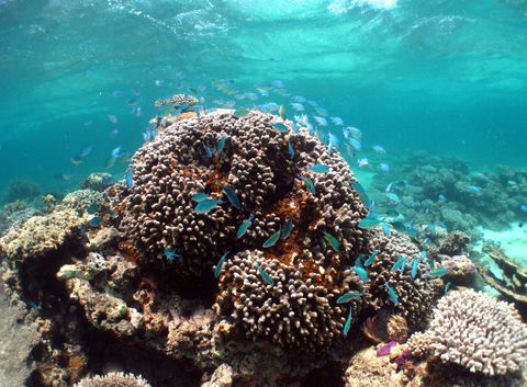 Ningaloo Coral Bay â€“ Bayview - Accommodation Kalgoorlie 2