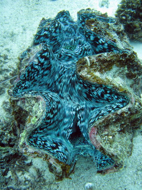 Ningaloo Coral Bay â€“ Bayview - Accommodation Kalgoorlie 5