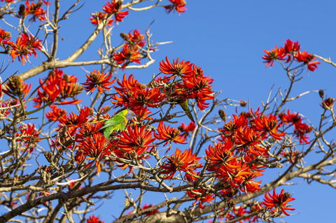 Como Executive Apartment - Accommodation Kalgoorlie 19