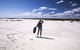 Salty Shack Lancelin - thumb 16