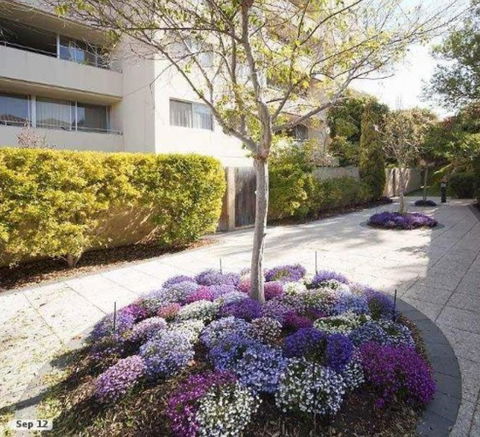 Retro Central Claremont Oasis - Accommodation Kalgoorlie 0