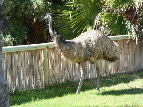 Wildsights Villas - Accommodation Kalgoorlie 29