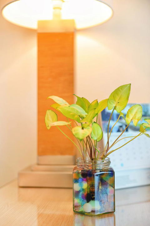 Bunbury Hotel Koombana Bay - Accommodation Kalgoorlie 7