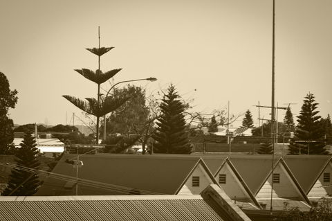 Annie's Victorian Terrace Accommodation Fremantle - Accommodation Kalgoorlie 2