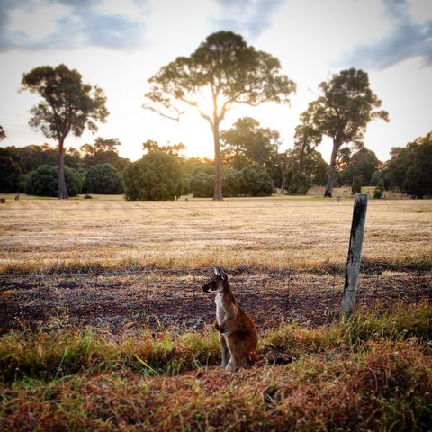 Ironstone Studio Margaret River - Accommodation Kalgoorlie 18
