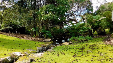 43 Degrees Bruny Island - Accommodation Kalgoorlie 8