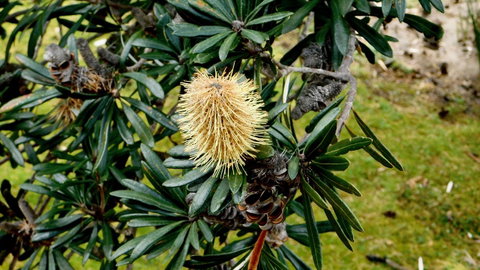 43 Degrees Bruny Island - Accommodation Kalgoorlie 11