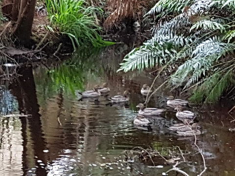 Strahan Retreat Holiday Park - Accommodation Kalgoorlie 24