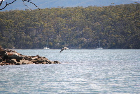 A Slice Of Paradise - Accommodation Kalgoorlie 18