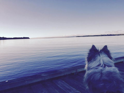 Wandering Geese Boutique Bed And Breakfast - Accommodation Kalgoorlie 21