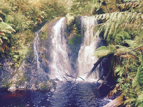 Wandering Geese Boutique Bed And Breakfast - Accommodation Kalgoorlie 29