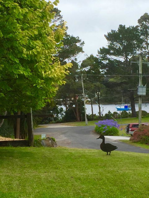 Wandering Geese Boutique Bed And Breakfast - Accommodation Kalgoorlie 15