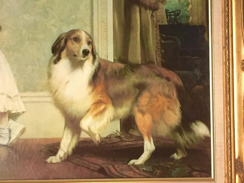 Wandering Geese Boutique Bed And Breakfast - Accommodation Kalgoorlie 5