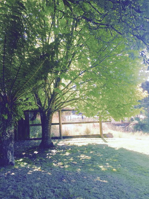 Wandering Geese Boutique Bed And Breakfast - Accommodation Kalgoorlie 30