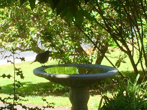 Wandering Geese Boutique Bed And Breakfast - Accommodation Kalgoorlie 19