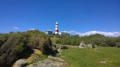 BIG4 Low Head Tourist Park - Accommodation Kalgoorlie 6