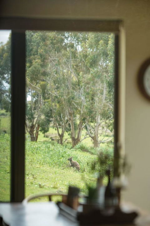 Adventure Bay Retreat Bruny Island - Accommodation Kalgoorlie 7