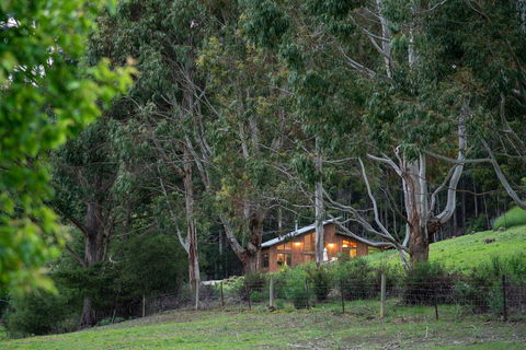 Adventure Bay Retreat Bruny Island - Accommodation Kalgoorlie 24