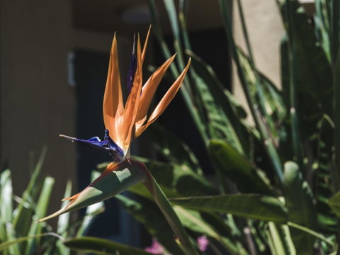 Russell House - Accommodation Kalgoorlie 2