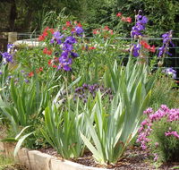 Karoola Cottage Self Contained - Accommodation Kalgoorlie