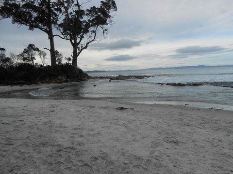 Bruny Ocean Cottage - Accommodation Kalgoorlie 7