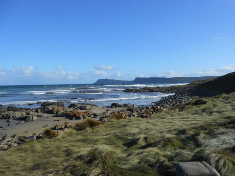 Bruny Ocean Cottage - Accommodation Kalgoorlie 15