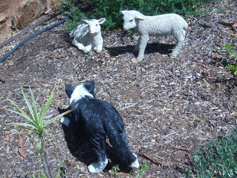 Old Miners' Cottages Bed And Breakfast - Accommodation Kalgoorlie 2