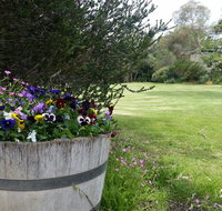 Padthaway Caravan Park - Accommodation Kalgoorlie