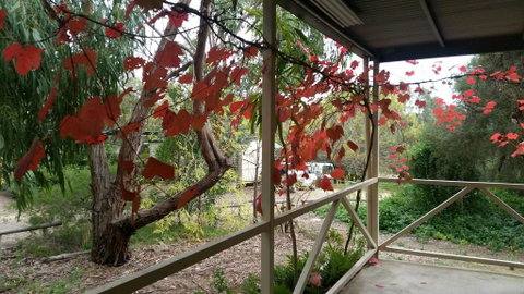 Padthaway Caravan Park - Accommodation Kalgoorlie 1