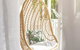 Pandanus Cottage - thumb 3