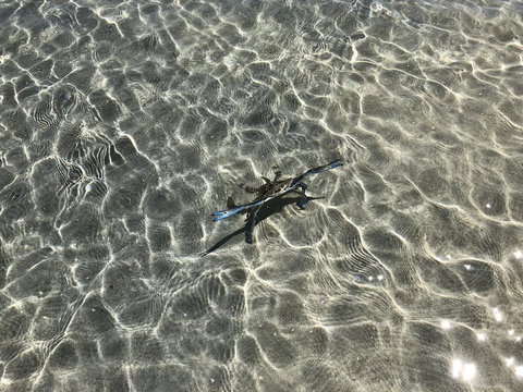 Peppermint Grove Beach Holiday Park - Accommodation Kalgoorlie 1