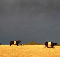 Peppertree Hill - Accommodation Kalgoorlie