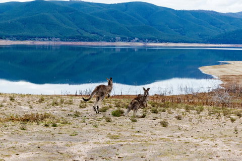 Pether Cottage - Talbingo NSW - Accommodation Kalgoorlie 3