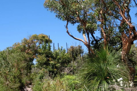 Relaxing Queen Sized Room With En-Suite - Accommodation Kalgoorlie 3