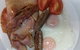 Ridgemont Motel - thumb 1