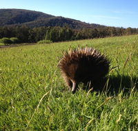 Silver Ridge Retreat - Accommodation Kalgoorlie