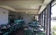 South Pacific Palms Motor Inn - thumb 2