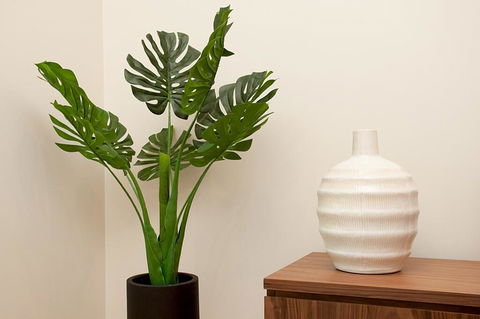 STAY&CO North Sydney Crows Nest - Accommodation Kalgoorlie 2