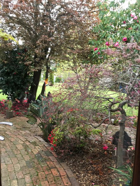 Stony Rise Cottage B&B - Accommodation Kalgoorlie 1