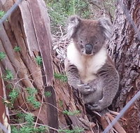 Stringybark Hills Retreat - Accommodation Kalgoorlie