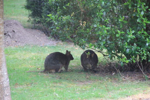 Tamar Valley Farm Stay - Accommodation Kalgoorlie 1